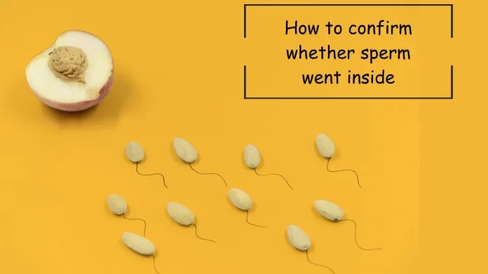 How to confirm whether sperm went inside