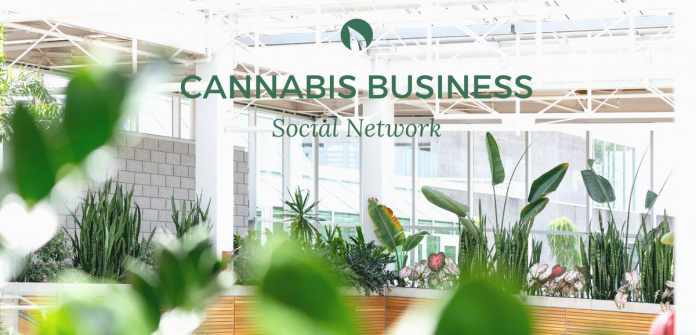 Cannabis Business Network