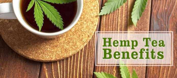 Benefits CBD Herbal Tea
