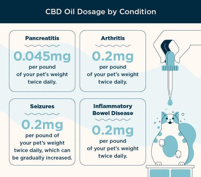 CBD Oil Dosage