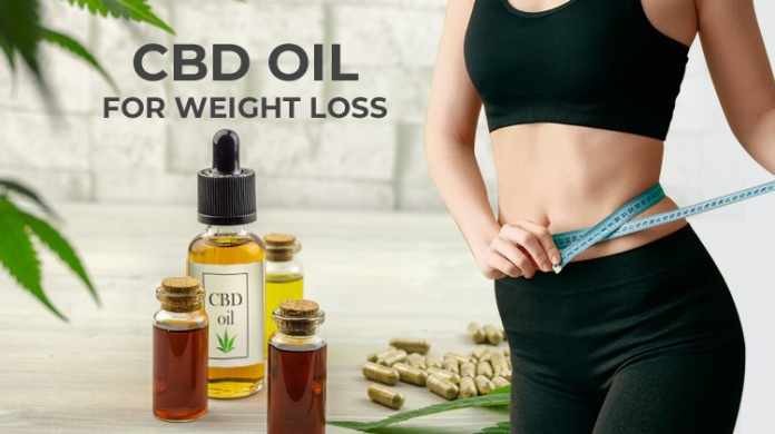 CBD oil for weight lost