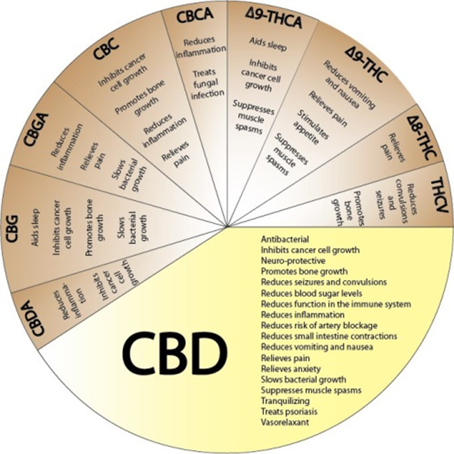5 tipi di effetti ed effetti collaterali del CBD (cannabidiolo) (prestare attenzione alle controindicazioni di 8 punti)