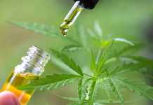 Avantages de l’huile de CBD sur les patients diabétiques et ses différentes formes