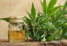 Vorteile von CBD-Öl bei Diabetikern und seinen verschiedenen Formen