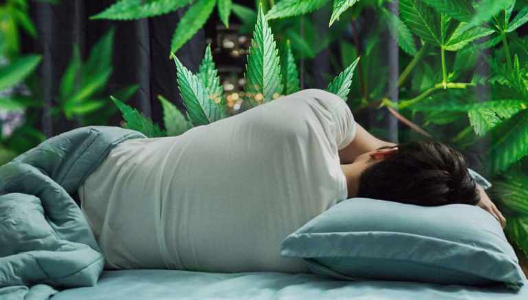 Cannabis para dormir