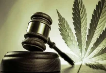 Exploring Cannabis Laws in Barcelona: A Travel Guide to Spain’s Cannabis Scene